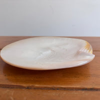 French Large Shell Caviar Dish with Utensils Mother of Pearl