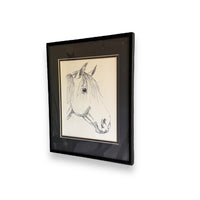 Ink Portrait of a Horse - WA Local Artist