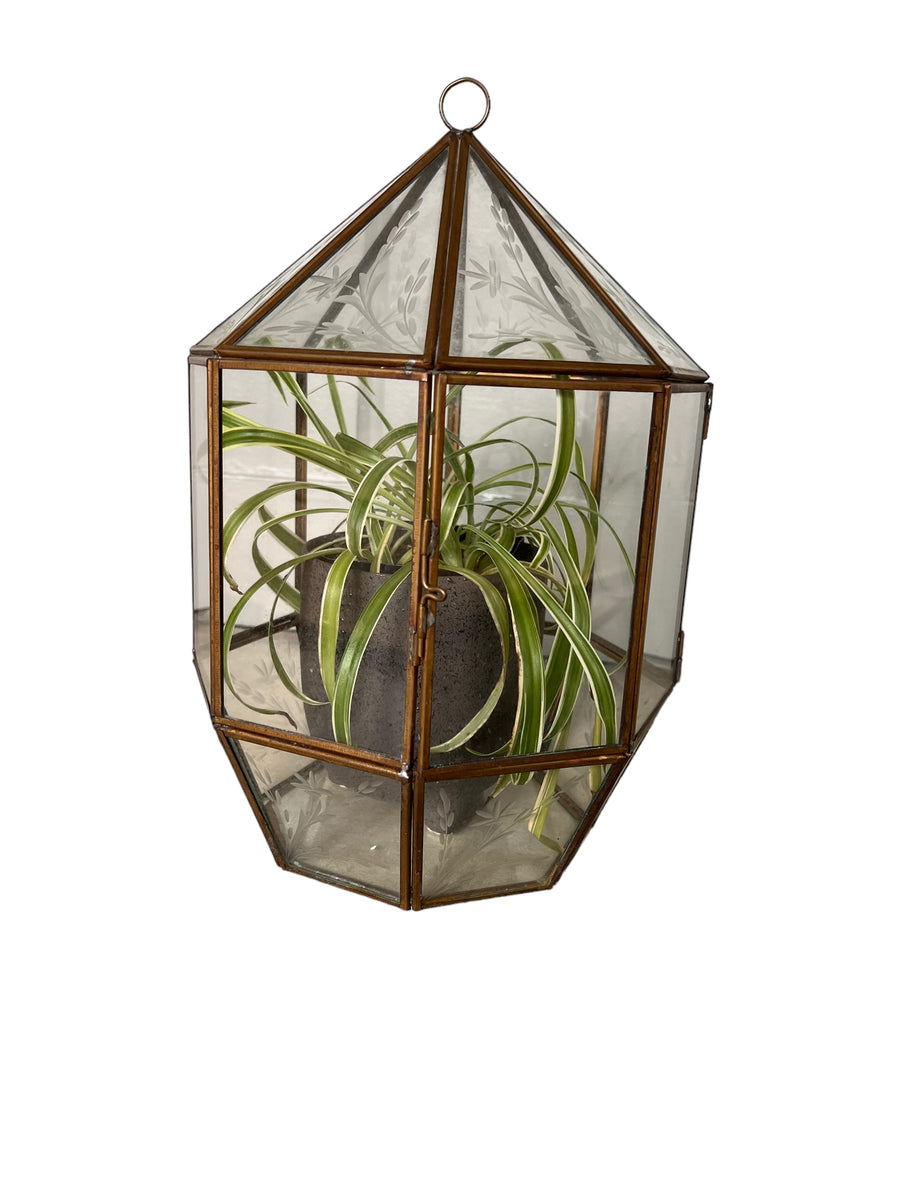 Glass and Brass Geometric Terrarium