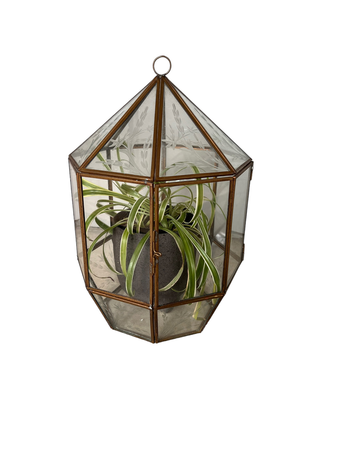 Glass and Brass Geometric Terrarium