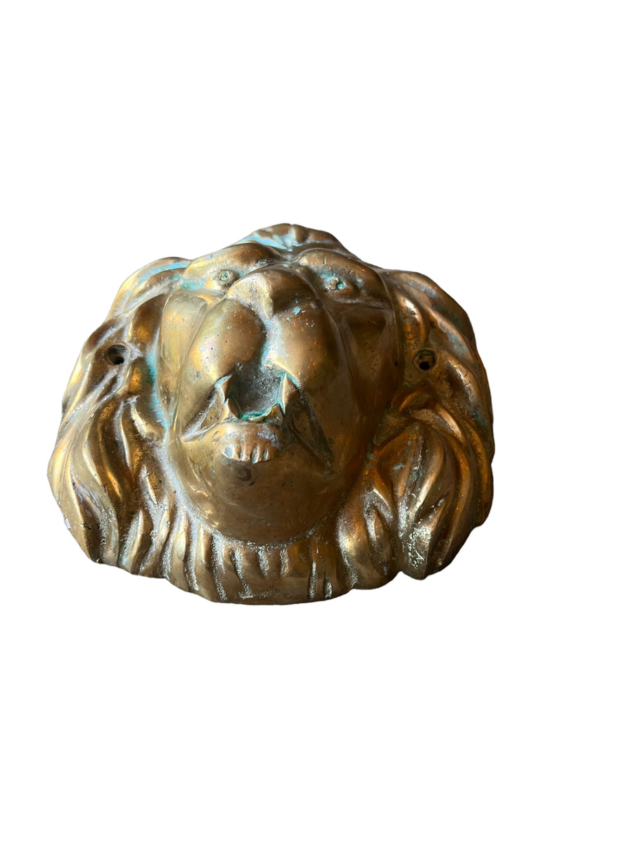 Large Brass European Lion Head Wall Mounted