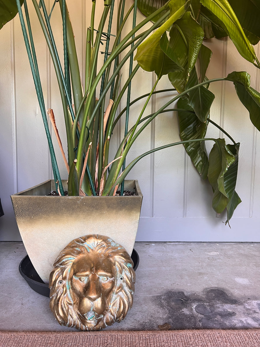 Large Brass European Lion Head Wall Mounted