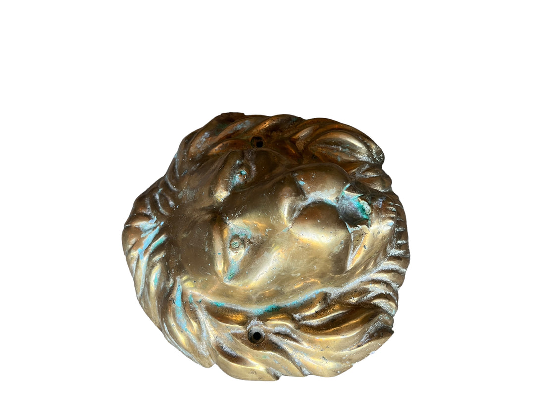 Large Brass European Lion Head Wall Mounted