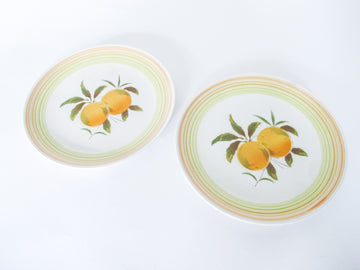 Harmony House Iron Stone Plates in Tangerine Made in Japan Set of 2