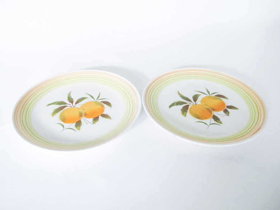 Harmony House Iron Stone Plates in Tangerine Made in Japan Set of 2