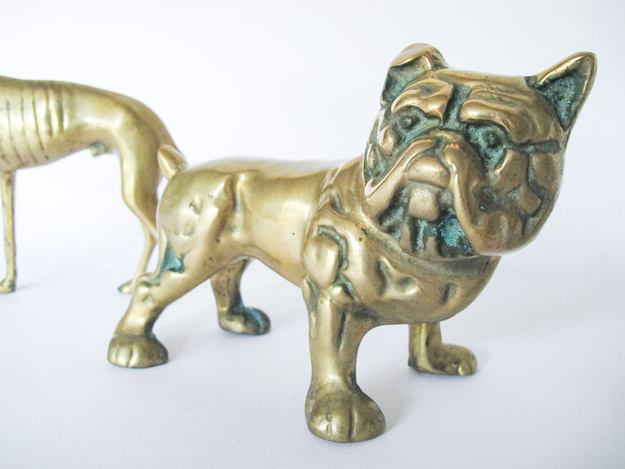 Brass Bulldog Brass Grey Hound Greyhound Vintage 