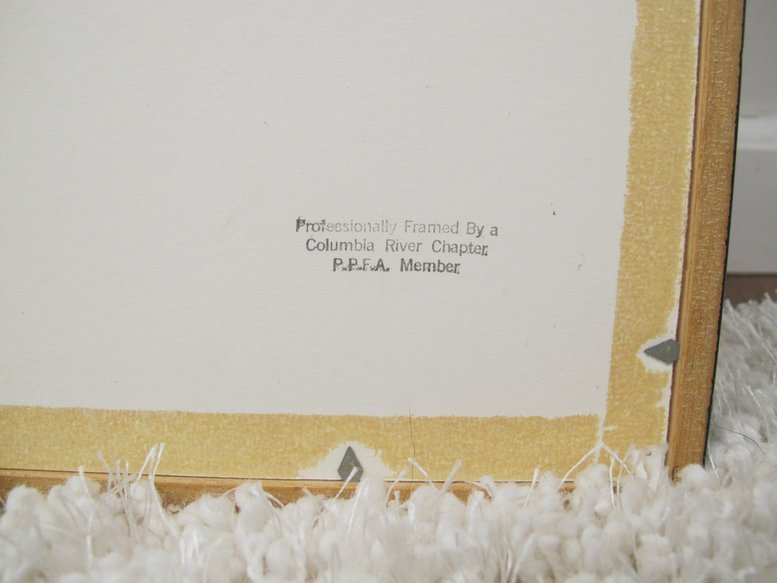 1980's Framed Photo of Paris France Poster