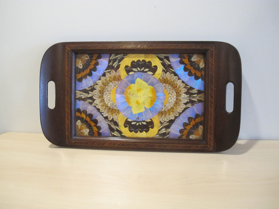 Butterfly Wing Tray From Brazil with Hand Carved Wood Frame and Glass Top