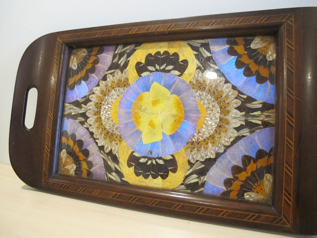 Butterfly Wing Tray From Brazil with Hand Carved Wood Frame and Glass Top