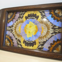 Butterfly Wing Tray From Brazil with Hand Carved Wood Frame and Glass Top