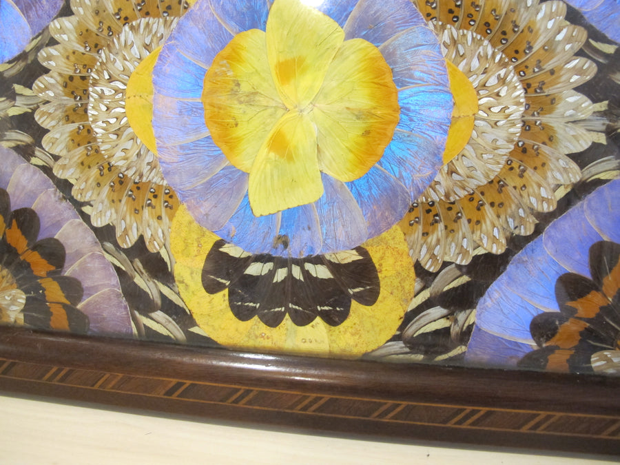 Butterfly Wing Tray From Brazil with Hand Carved Wood Frame and Glass Top