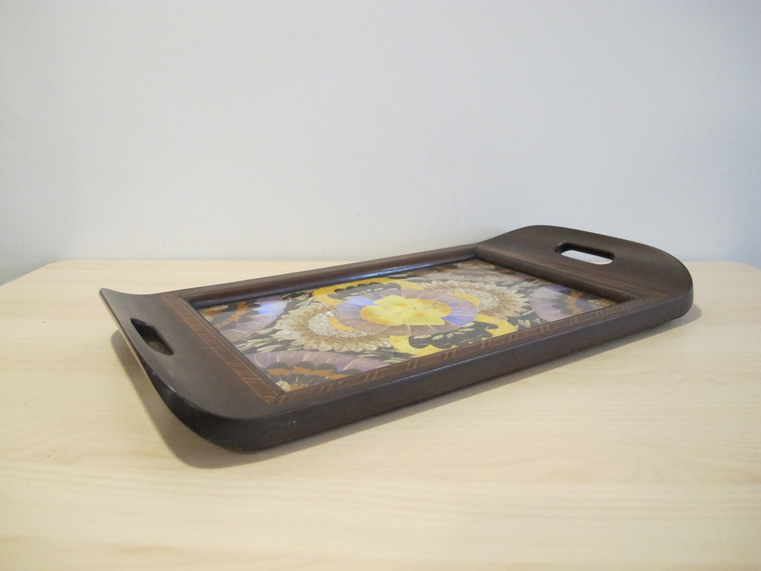 Butterfly Wing Tray From Brazil with Hand Carved Wood Frame and Glass Top