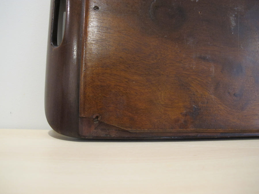 Butterfly Wing Tray From Brazil with Hand Carved Wood Frame and Glass Top