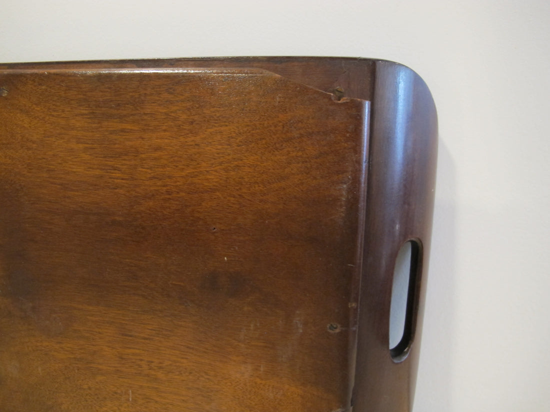 Butterfly Wing Tray From Brazil with Hand Carved Wood Frame and Glass Top