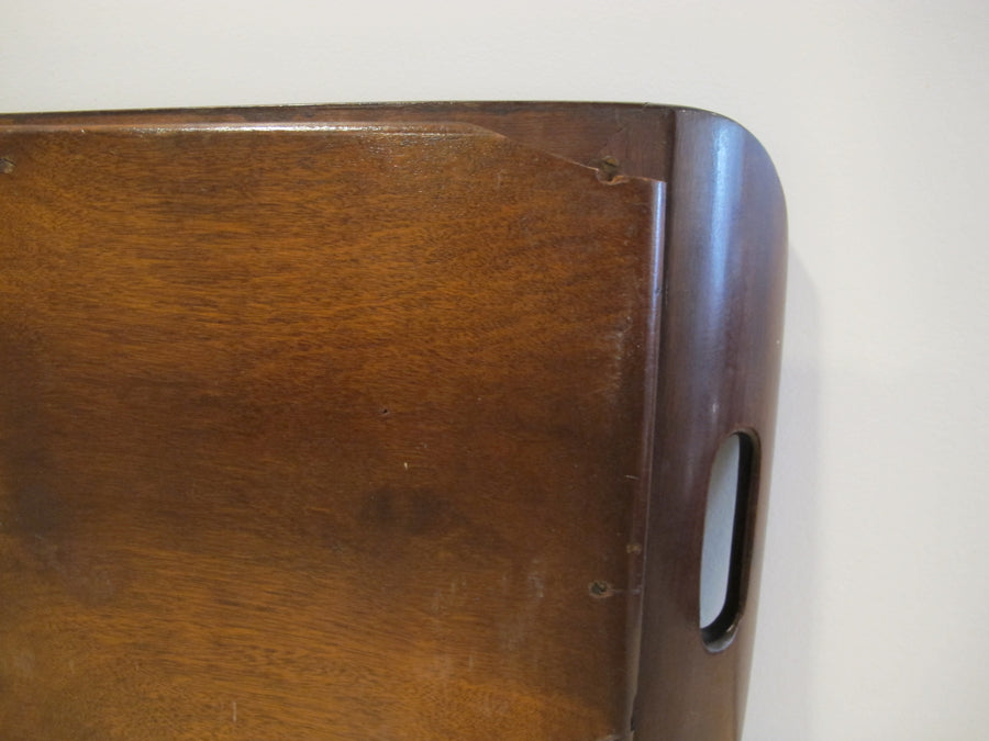 Butterfly Wing Tray From Brazil with Hand Carved Wood Frame and Glass Top