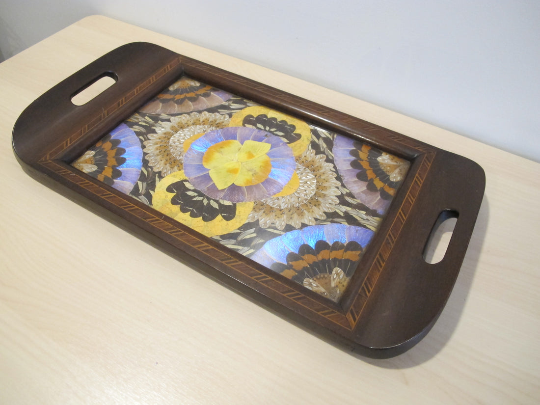 Butterfly Wing Tray From Brazil with Hand Carved Wood Frame and Glass Top