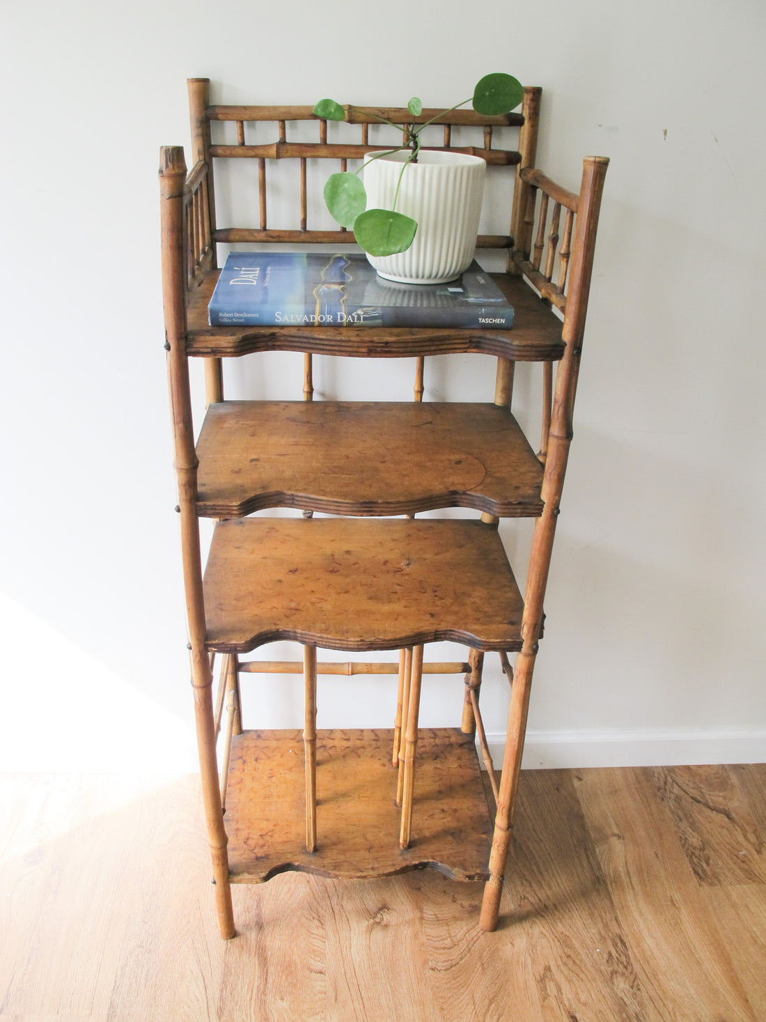 Tortoise Shell Bamboo Bookshelf Antique