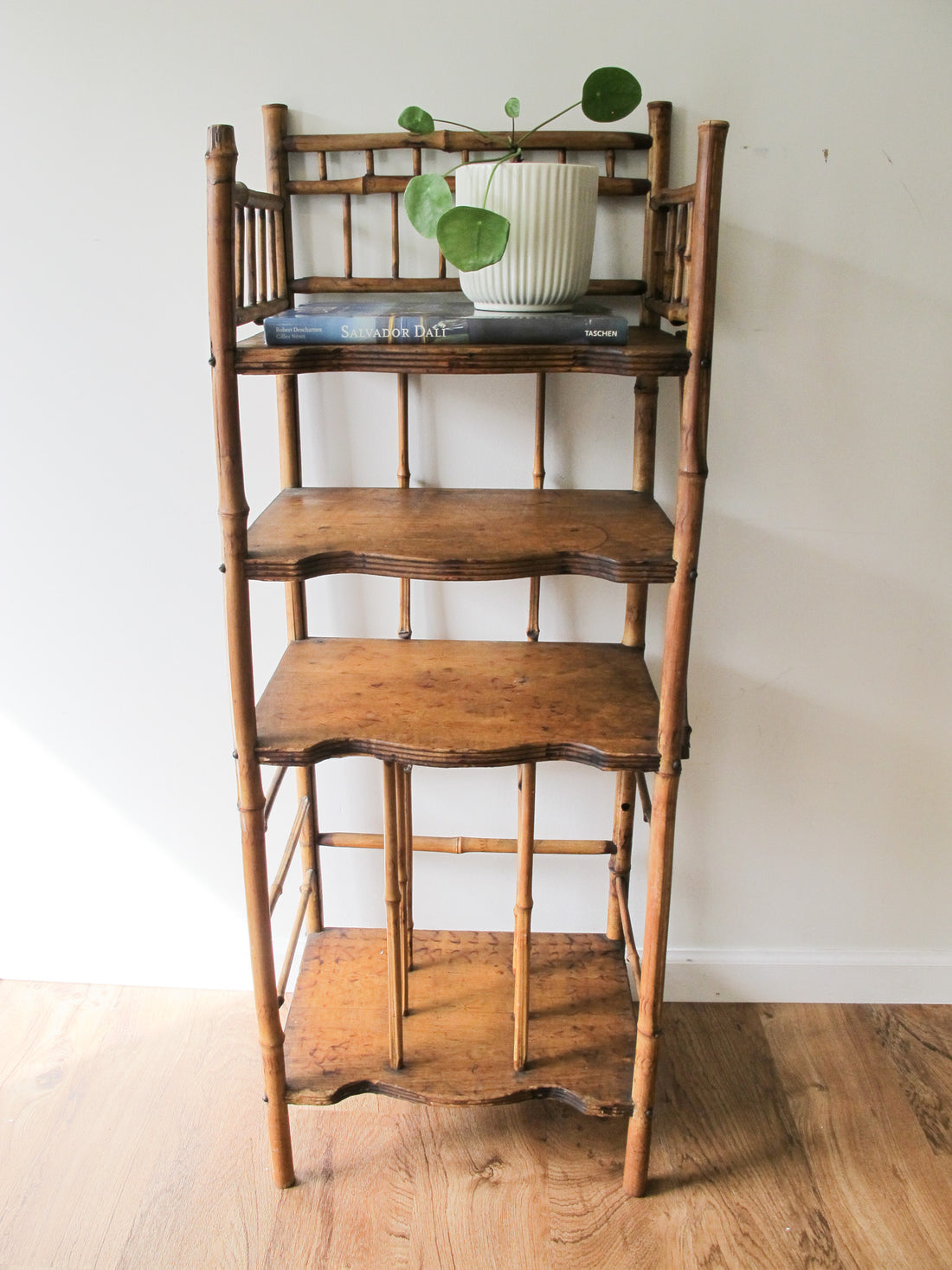 Tortoise Shell Bamboo Bookshelf Antique