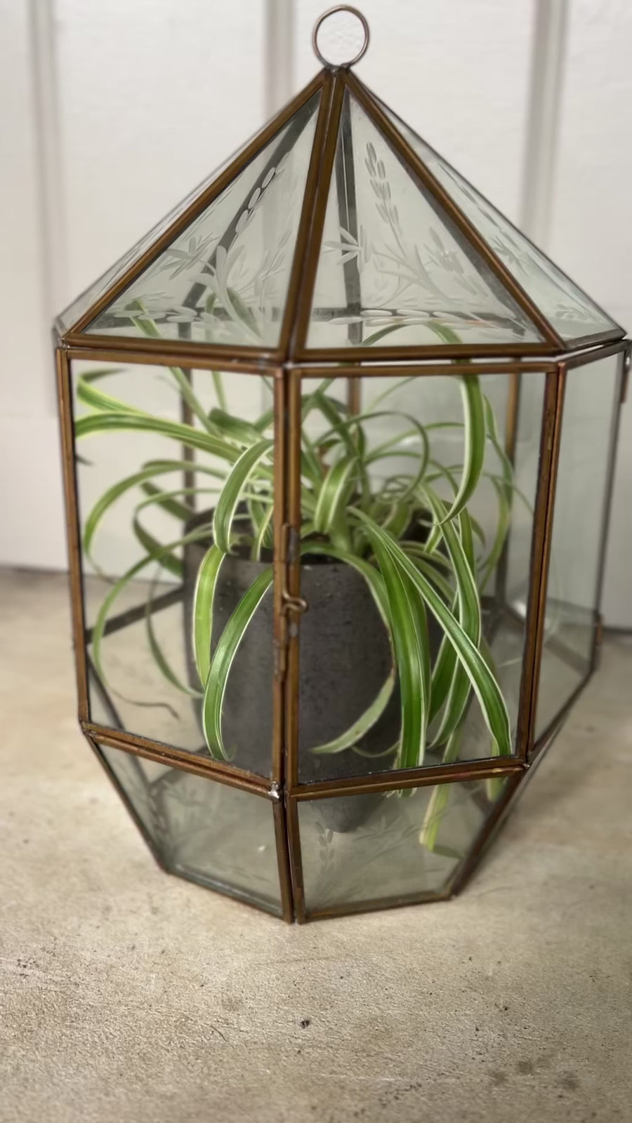 Glass and Brass Geometric Terrarium