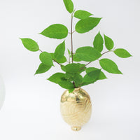 Art deco Brass Ikebana Style Vase - Made in India