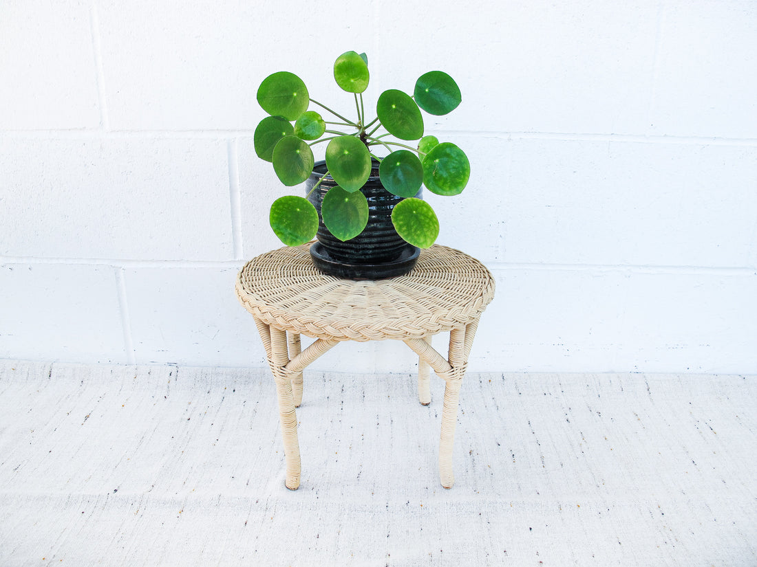 Small Woven Round Wicker Table Plant Stand