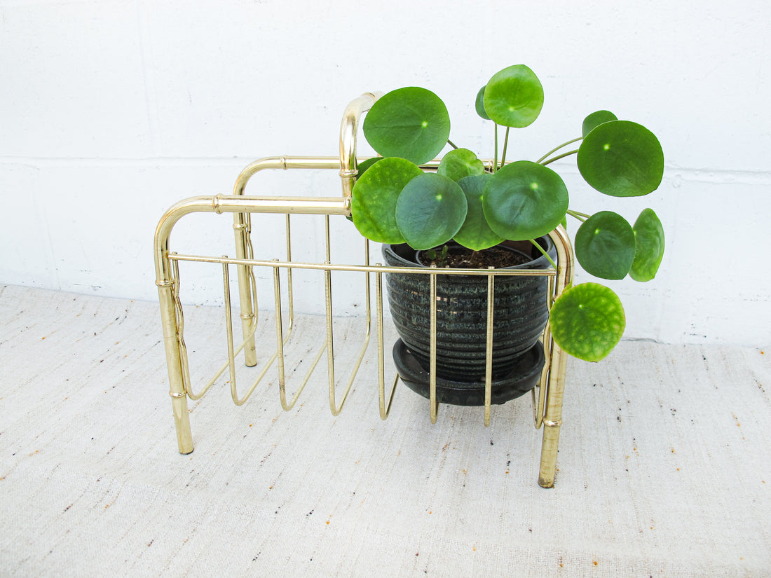 Brass Low Cane and Bamboo Style Magazine Holder or Log Holder