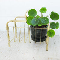 Brass Low Cane and Bamboo Style Magazine Holder or Log Holder