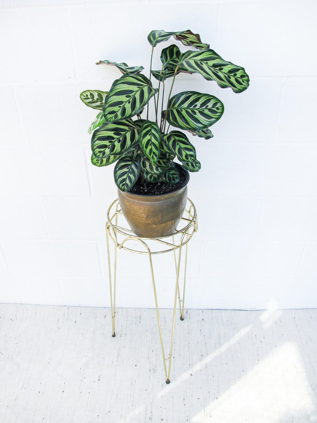 Midcentury Brass Metal Plant Stand