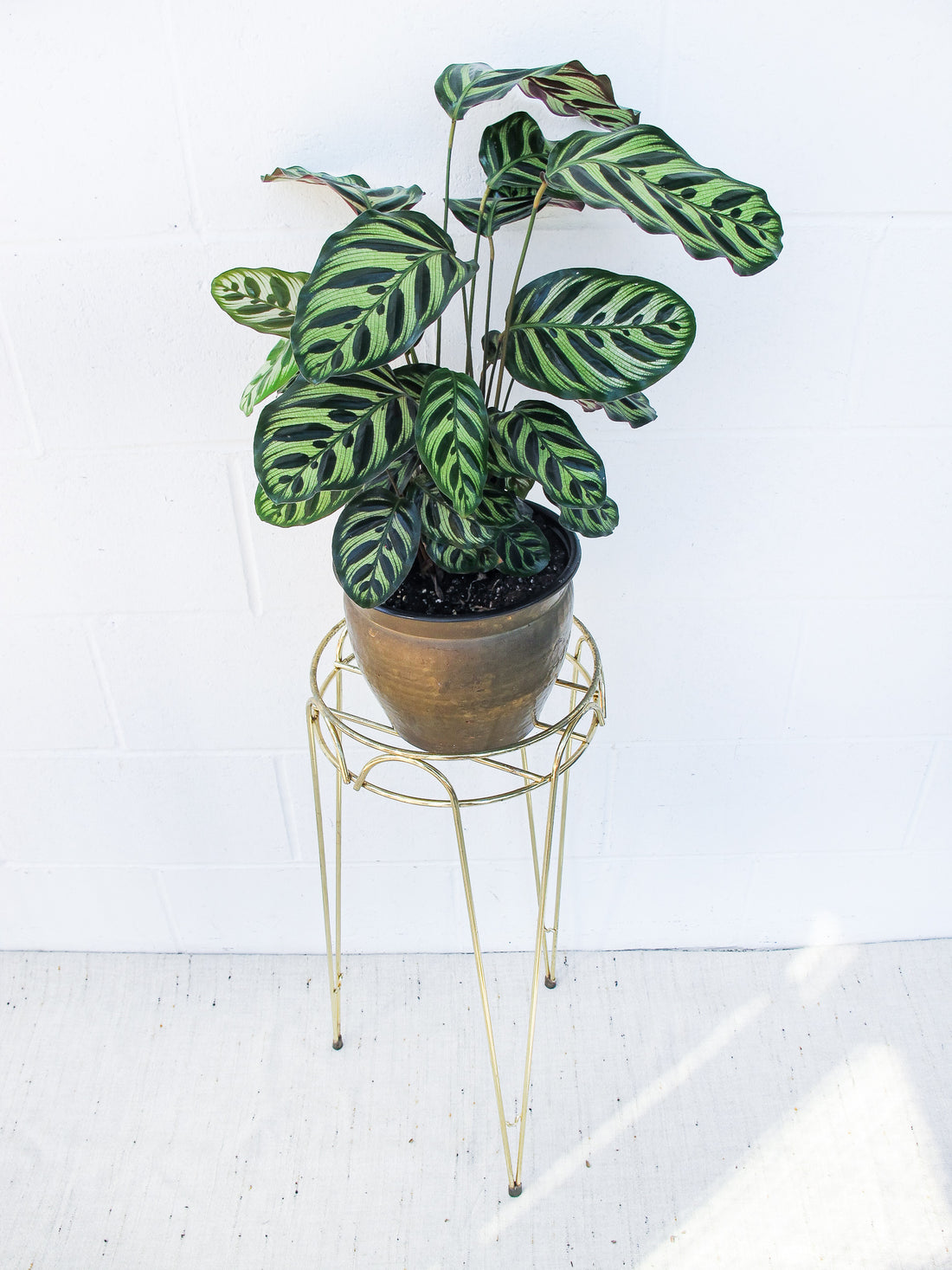 Midcentury Brass Metal Plant Stand