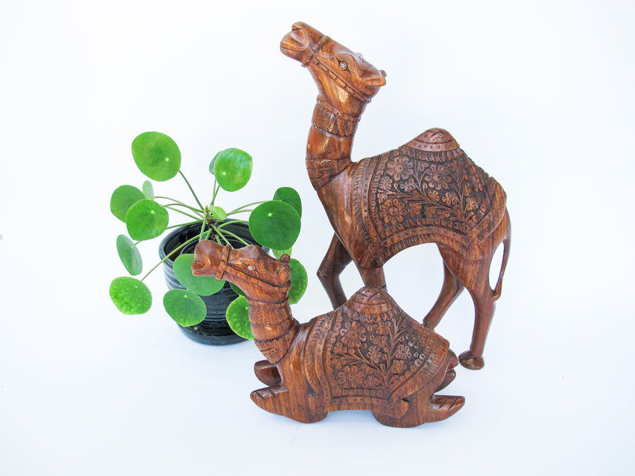 Set of two Large Rosewood Carved Camels