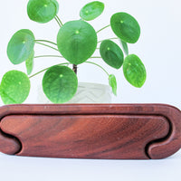 Wood Walnut Tree Box - Designer