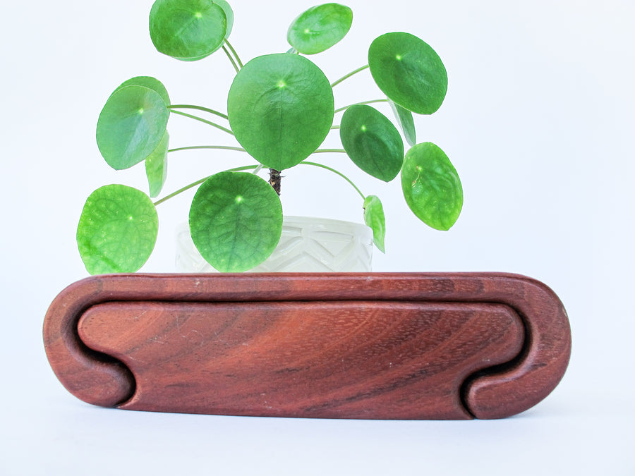 Wood Walnut Tree Box - Designer