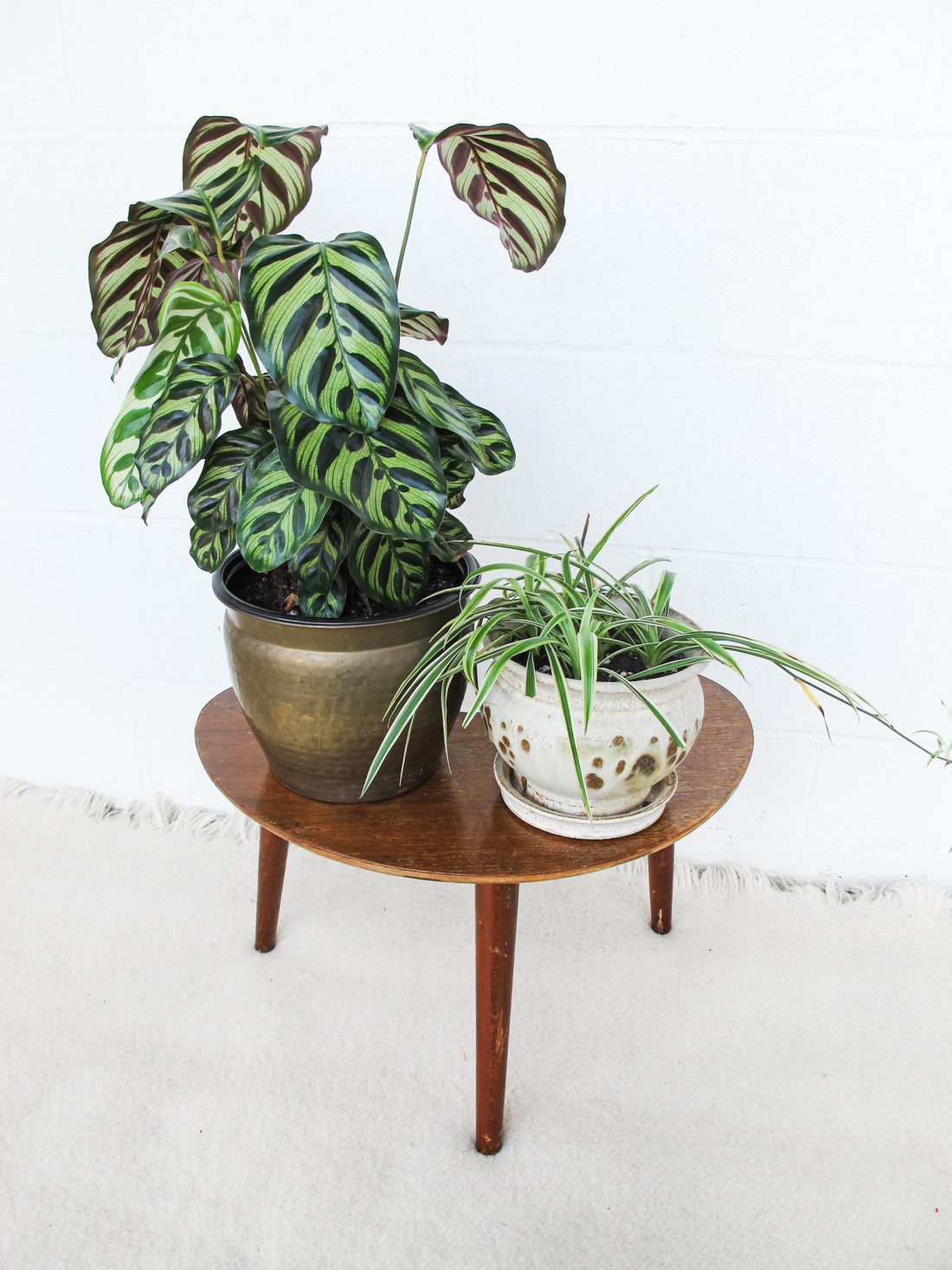 Midcentury Wood Table Plant Stand