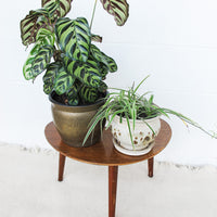 Midcentury Wood Table Plant Stand