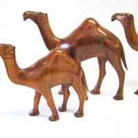 Set of 4 Wood Camels with Bead Eyes