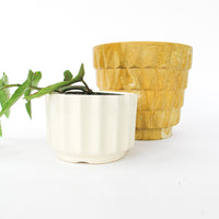 Midcentury Resin Plant Pot - Geometric Yellow/Tan