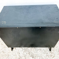 Black Enameled Midcentury Entry Cabinet with Cane Doors