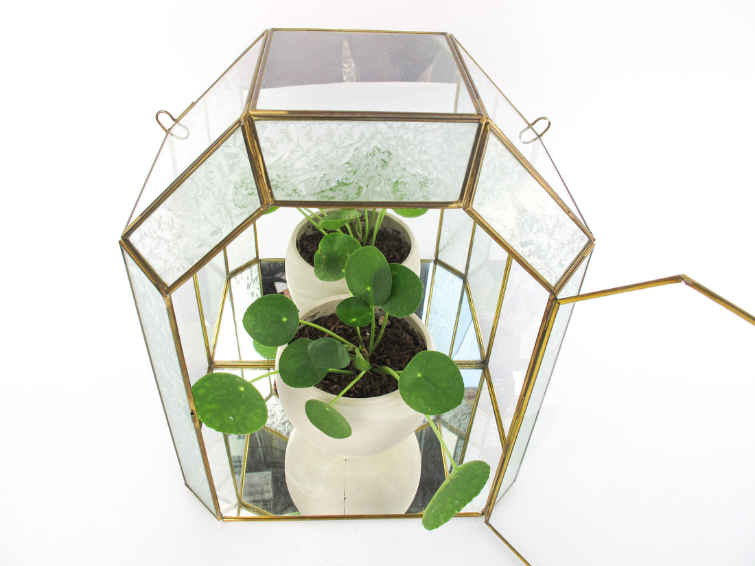 Glass and Brass Mirrored Hanging Display Boxes (Each Sold Separately)