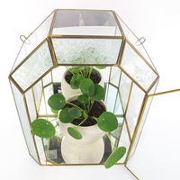 Glass and Brass Mirrored Hanging Display Boxes (Each Sold Separately)