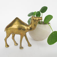 Minimal Vintage Shiny Brass Camel