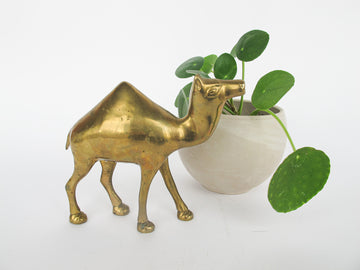 Minimal Vintage Shiny Brass Camel