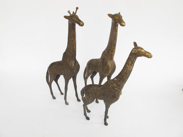 Set of 3 Brass Giraffes