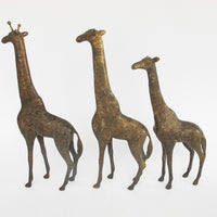 Set of 3 Brass Giraffes