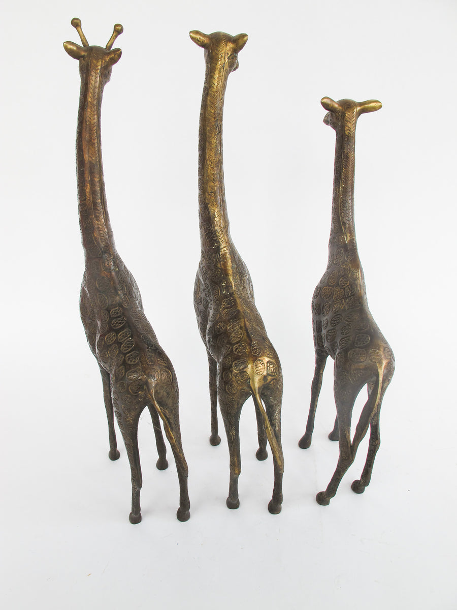 Set of 3 Brass Giraffes