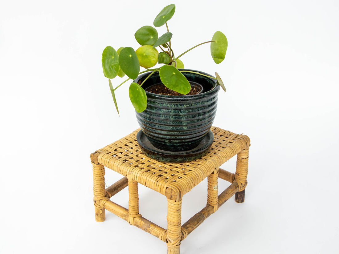 Small Woven Wicker Foot Stool from Taiwan
