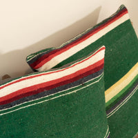 Green Serape Down Throw Pillows 24" X 24"