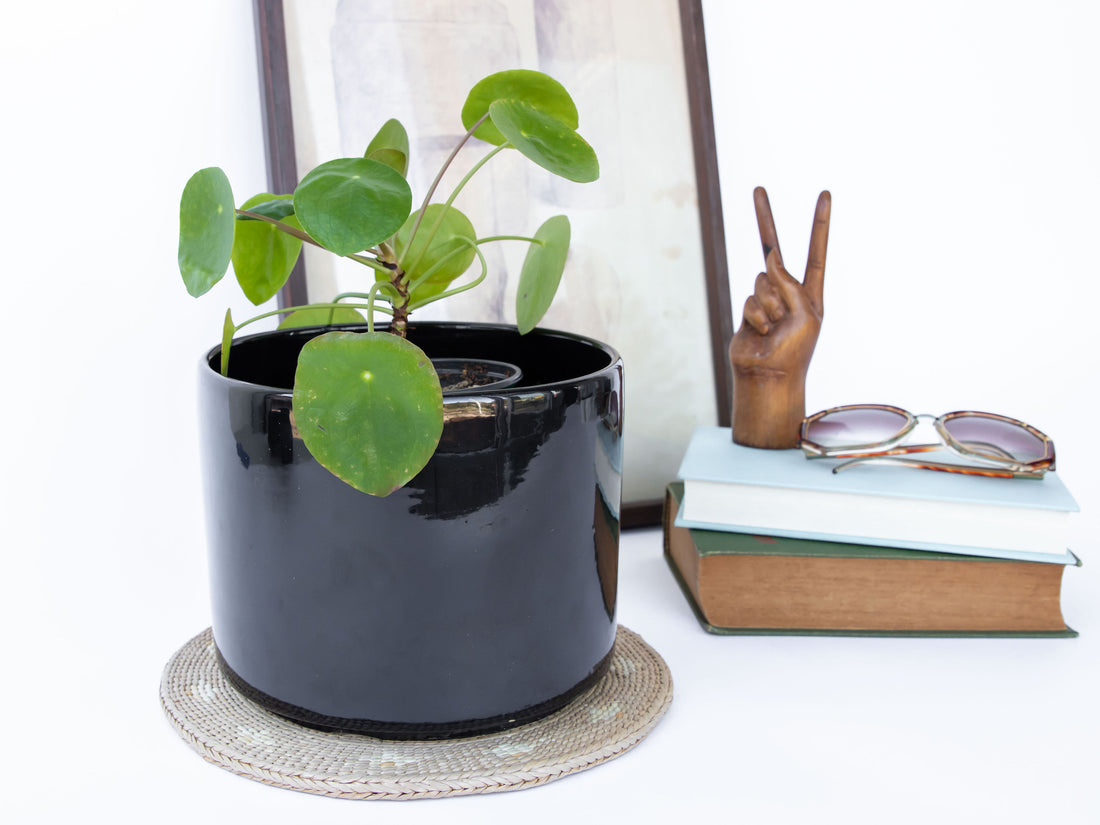 Midcentury Minimalist Ceramic Plant Pot