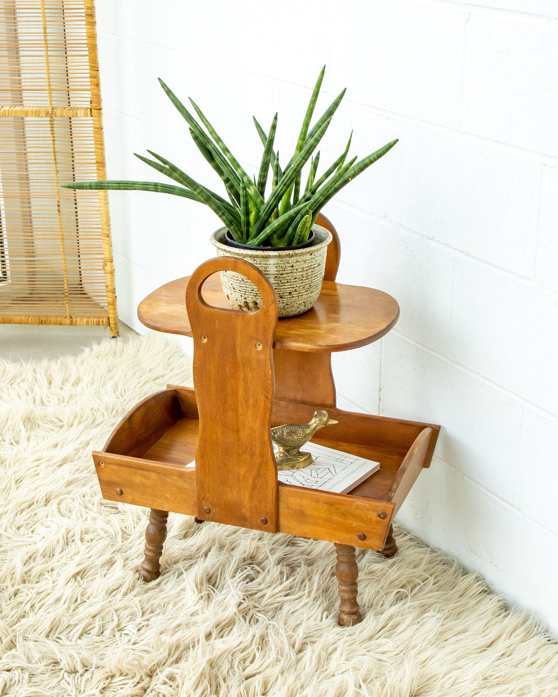 Wood Side Table Shelf Organizer