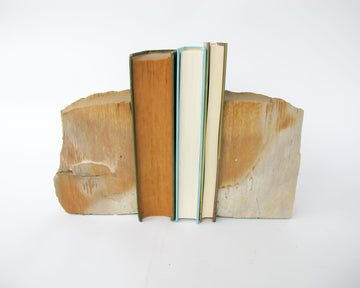 Petrified Wood Bookends