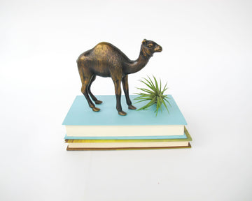Vintage Brass Camel